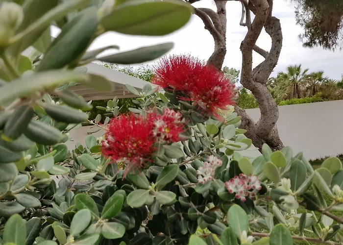 Апартаменты Casa Mirella